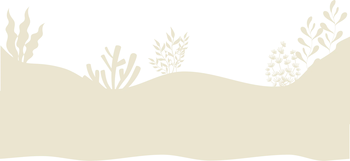 Fondo decorativo productos