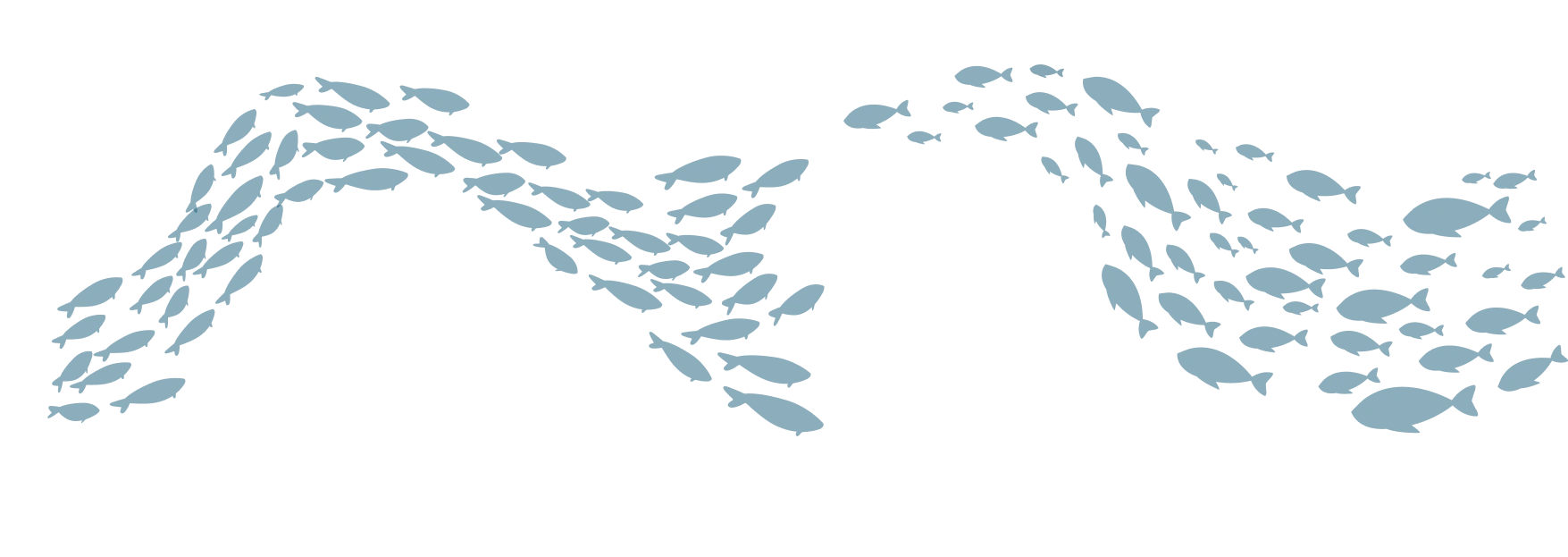 Decoración superior