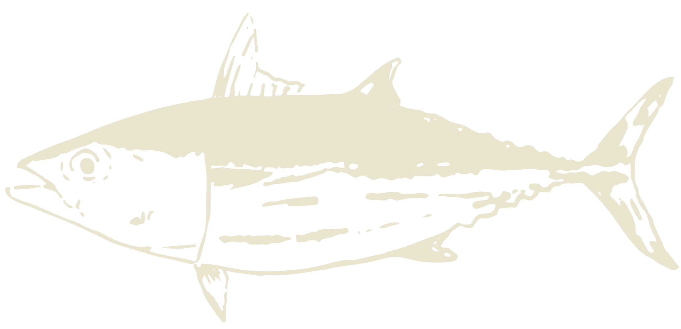 Decoración Barrilete